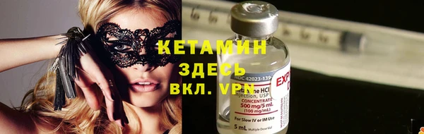 прущие грибы Бронницы