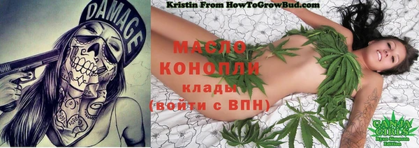 прущие грибы Бронницы