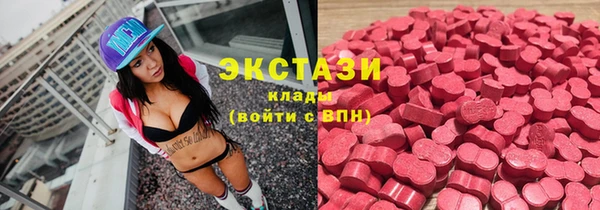 прущие грибы Белокуриха