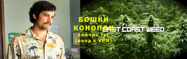 не бодяженный Бородино