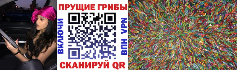 Псилоцибиновые грибы Cubensis Игарка